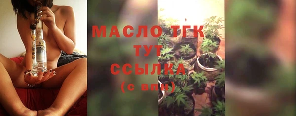 гидра Верхний Тагил