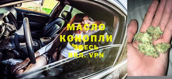 гидра Верхний Тагил
