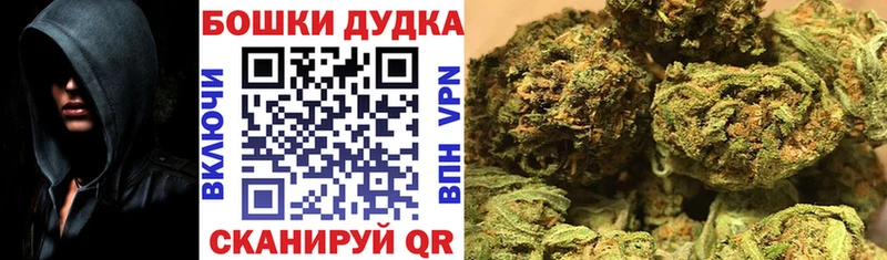 наркошоп  Пушкино  Бошки марихуана сатива 